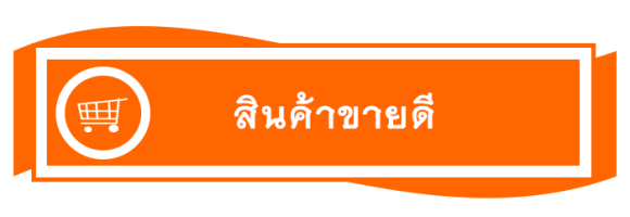 สินค้าขายดี